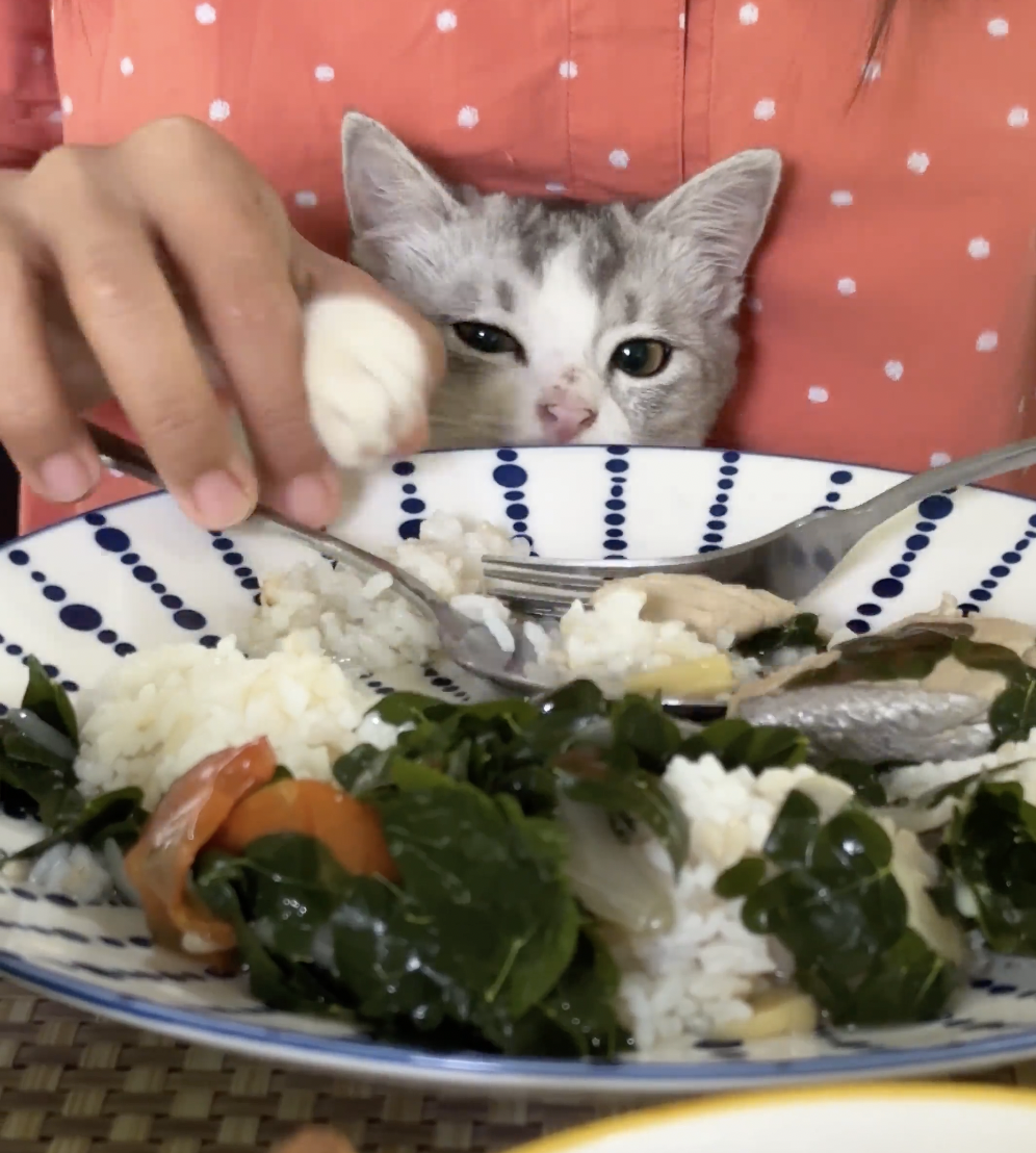 奴才：還是不行喔～