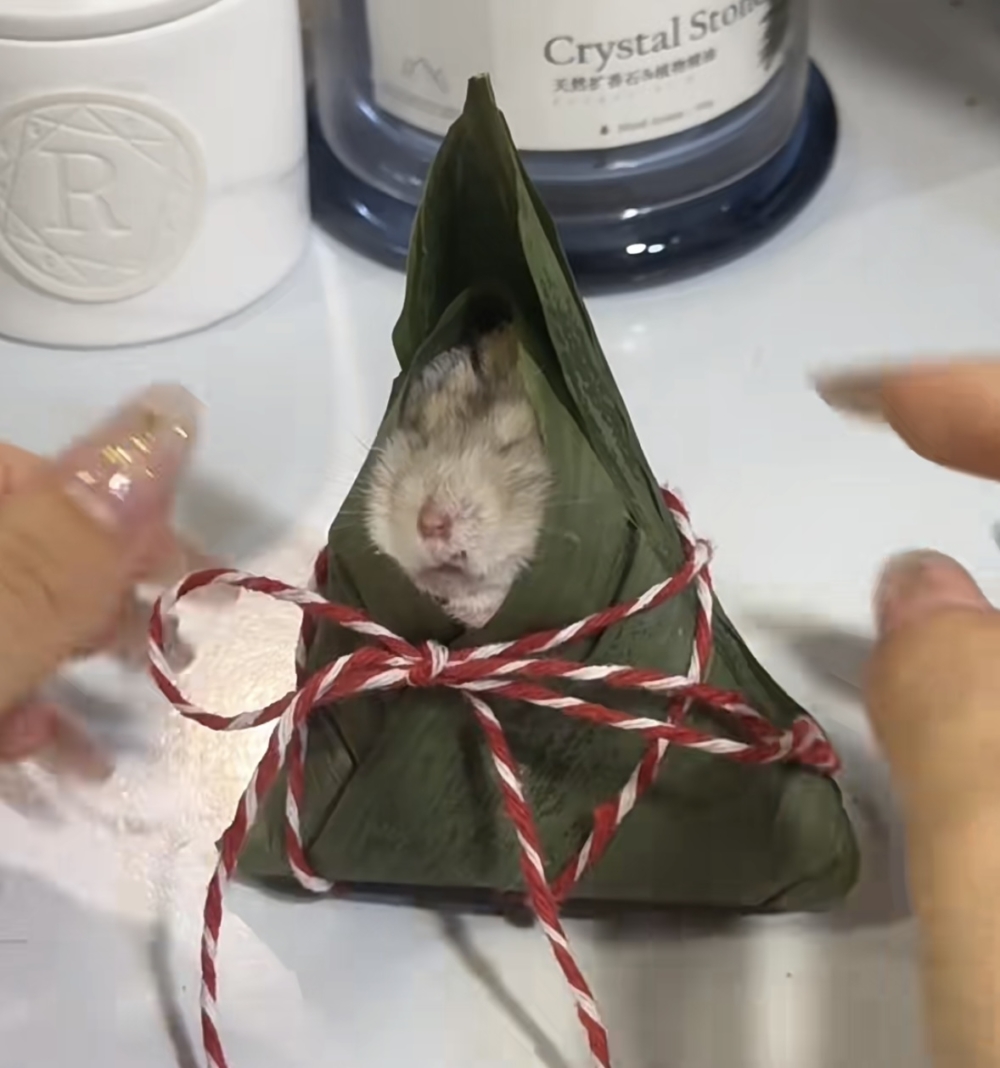 奴才：別說的好像我要把你怎麼樣一樣啦