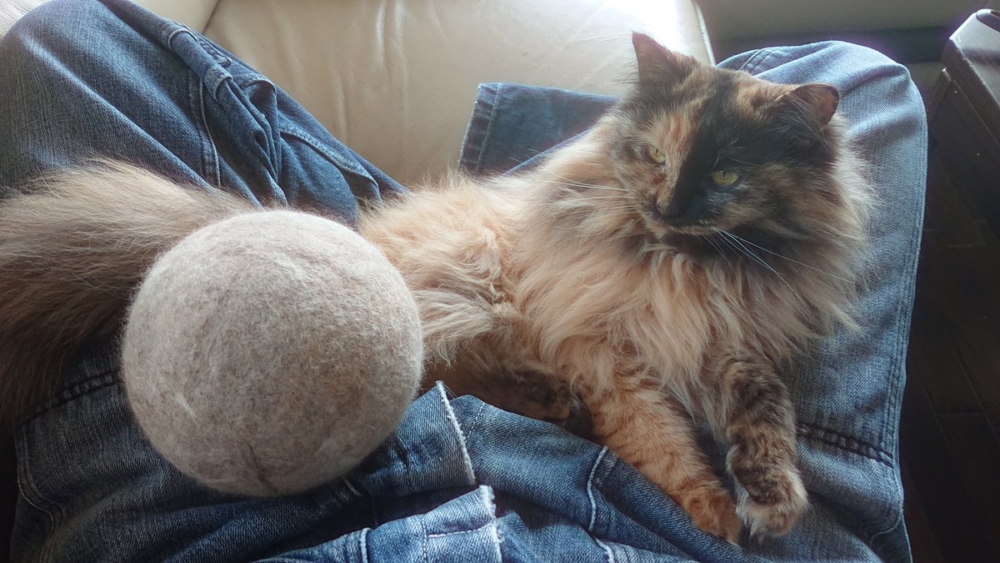 奴才:這樣你才能夠記憶深刻呀