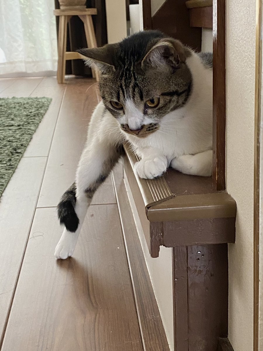 奴才：不會啦！放心