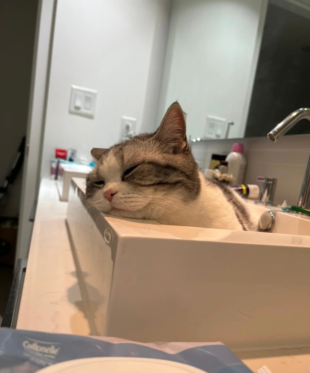 奴才：你是在嫌棄我太久了嗎？