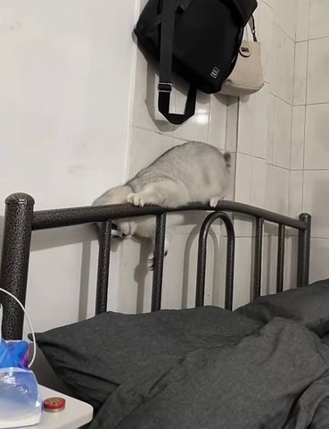 奴才：讓你長長記性先不救你～