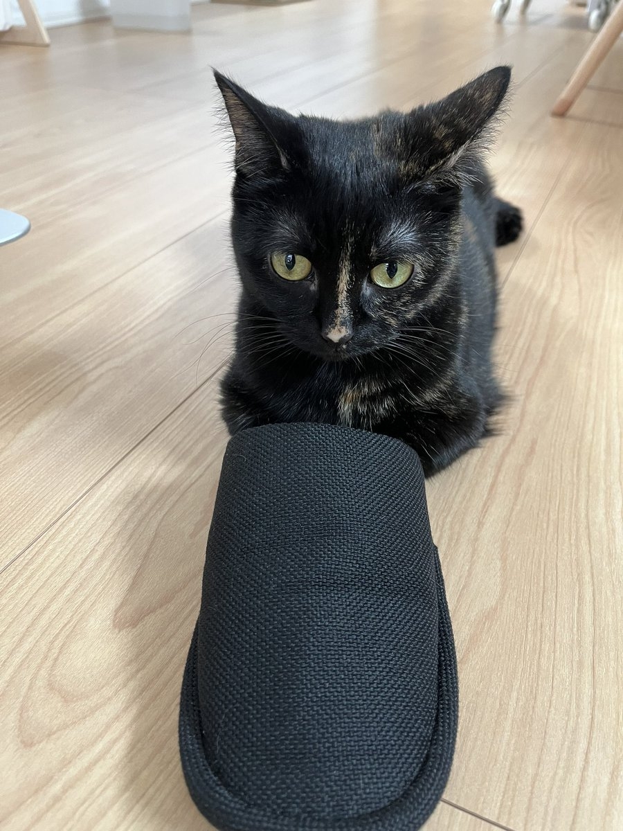 奴才：什麼啦！當然不是啊