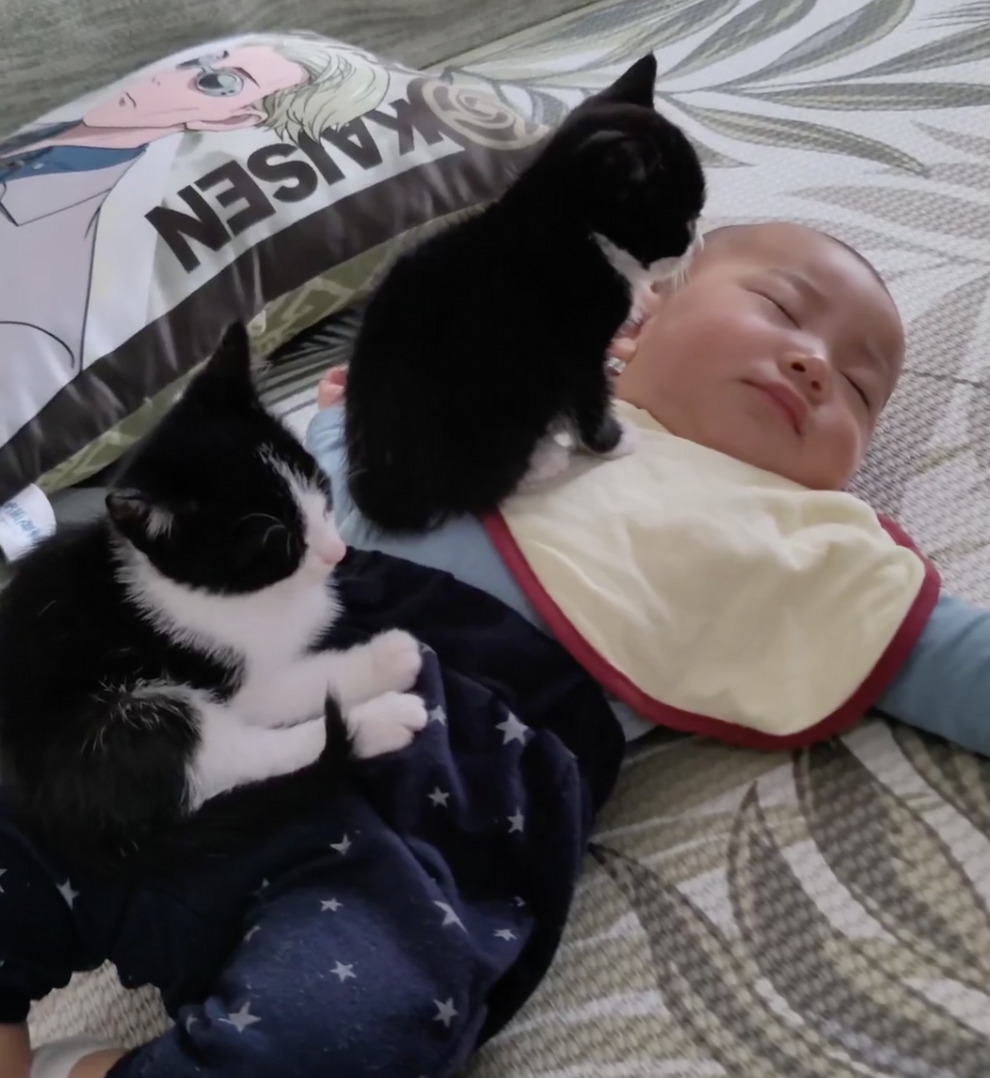 奴才：再等一下下寶寶起床就能一起玩耍了