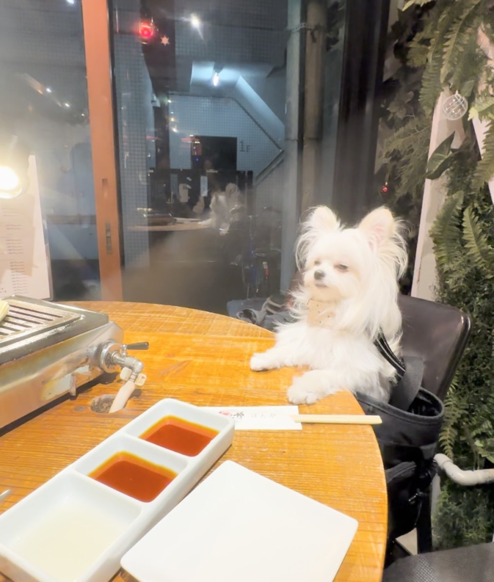 奴才：你別那麼緊張啊