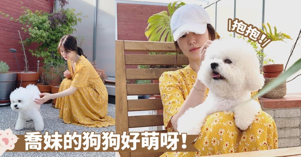 女神新劇《自白的代價》告吹！小迷妹韓韶禧深情告白，希望自己是喬妹的愛犬囉～