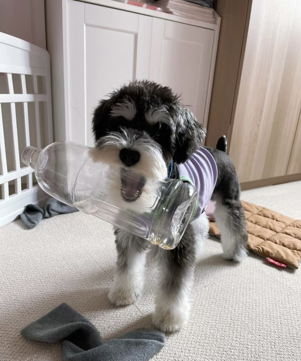 奴才：小心瓶子拿不下來喔