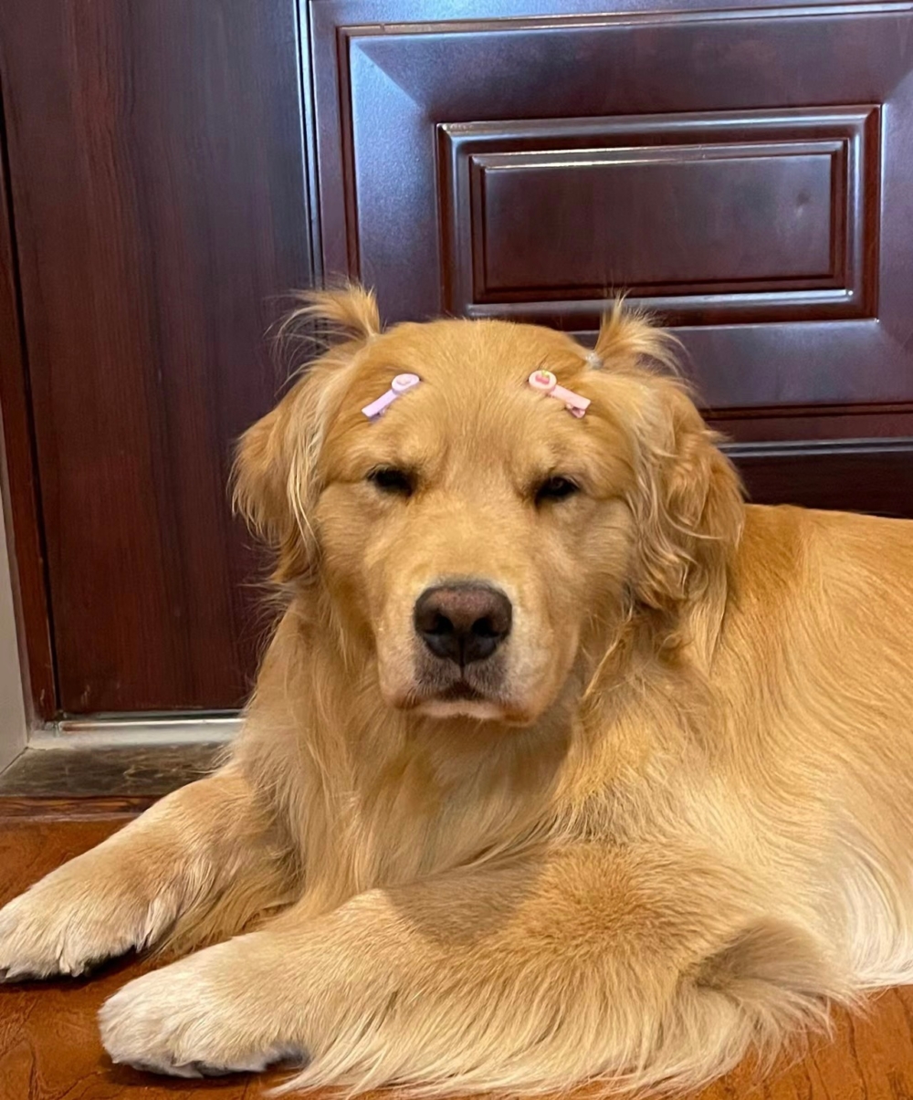 奴才：那就沒辦法了