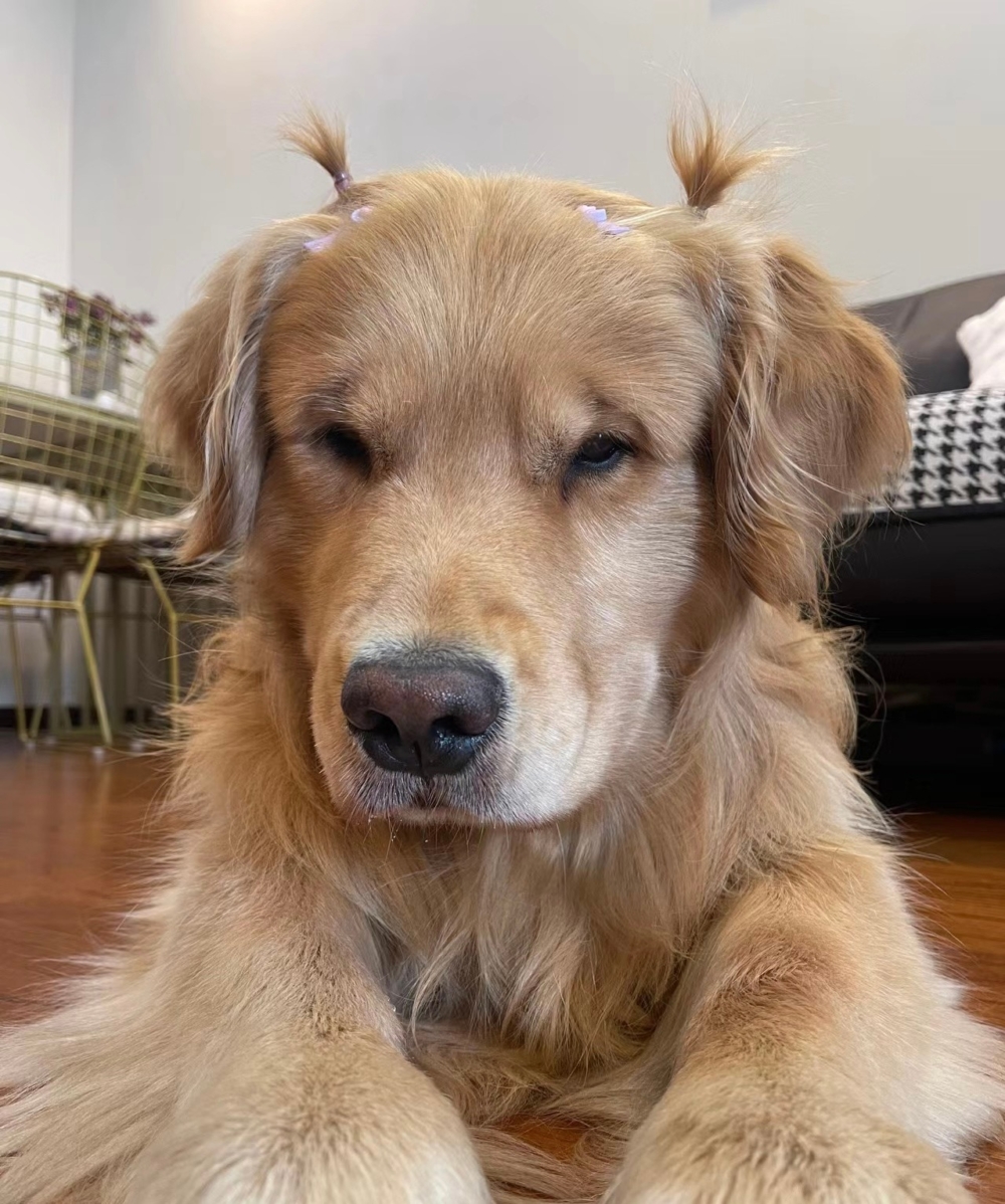 奴才：我是為你好欸