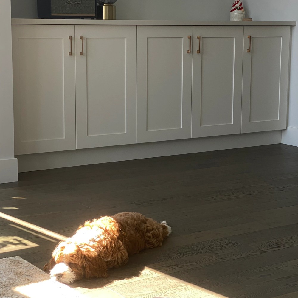 奴才：看你這樣還真的挺爽噠