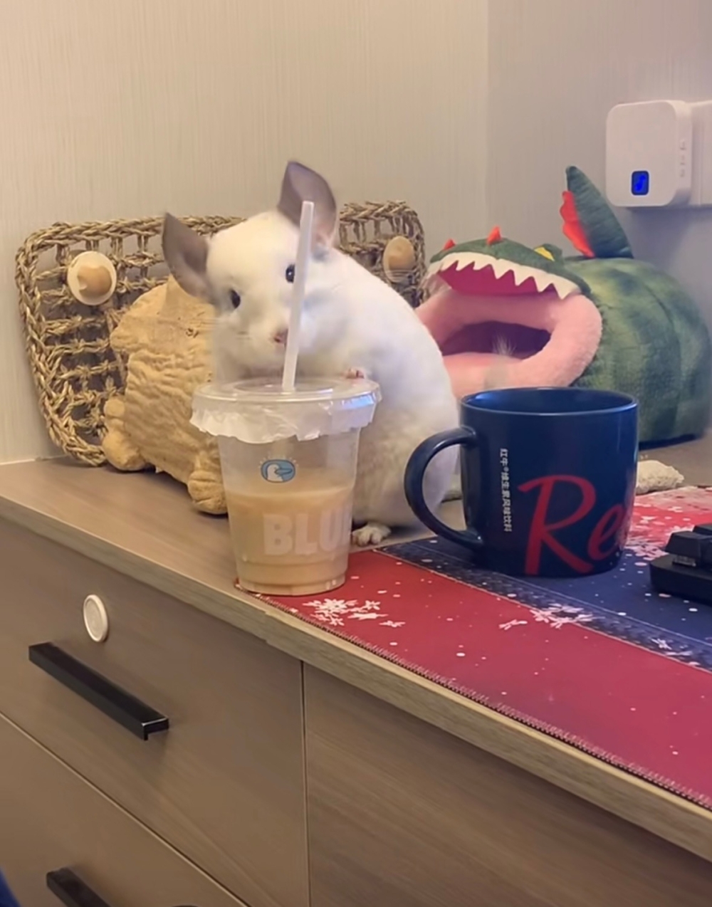 奴才：拭目以待吧～