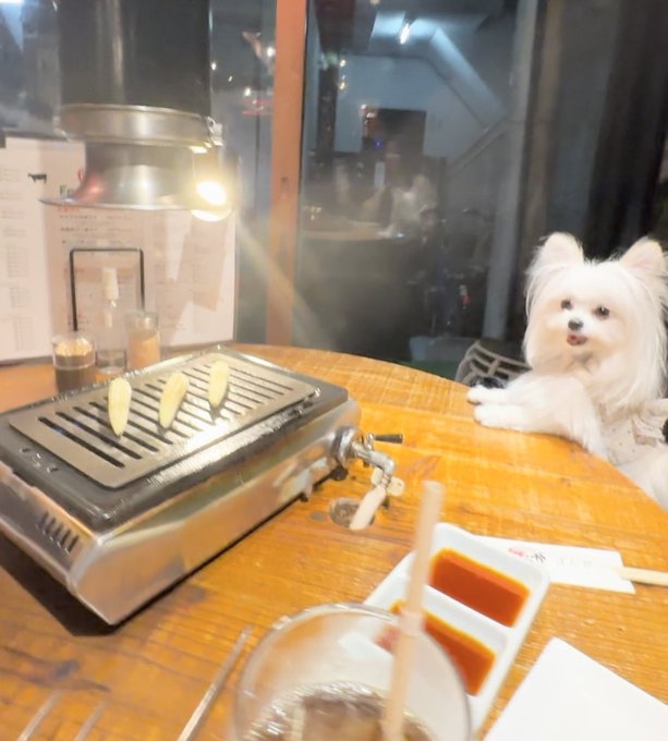 奴才：看得出來啦