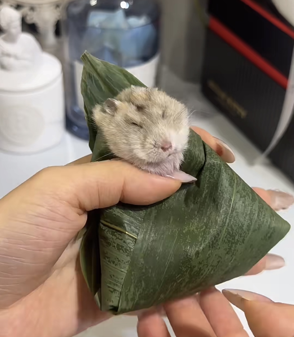 奴才：哎呀～我還是很愛你就對了