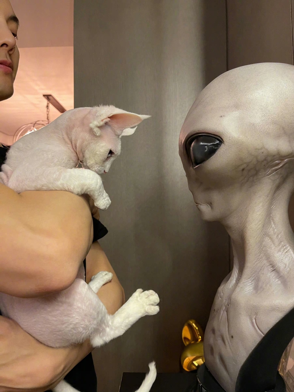 陳偉霆與「陳小鐵」