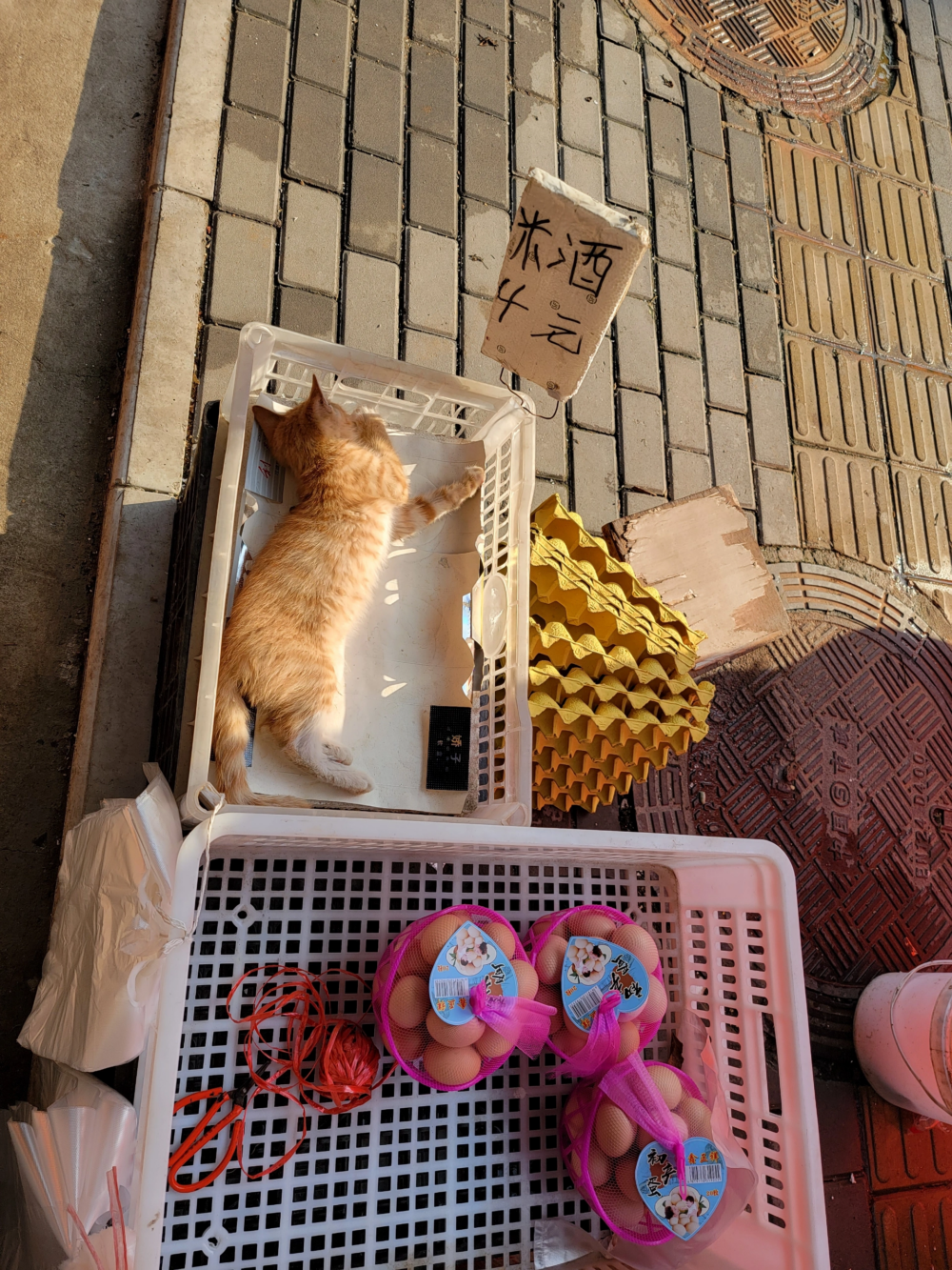 奴才：知道你是有幫忙的啦