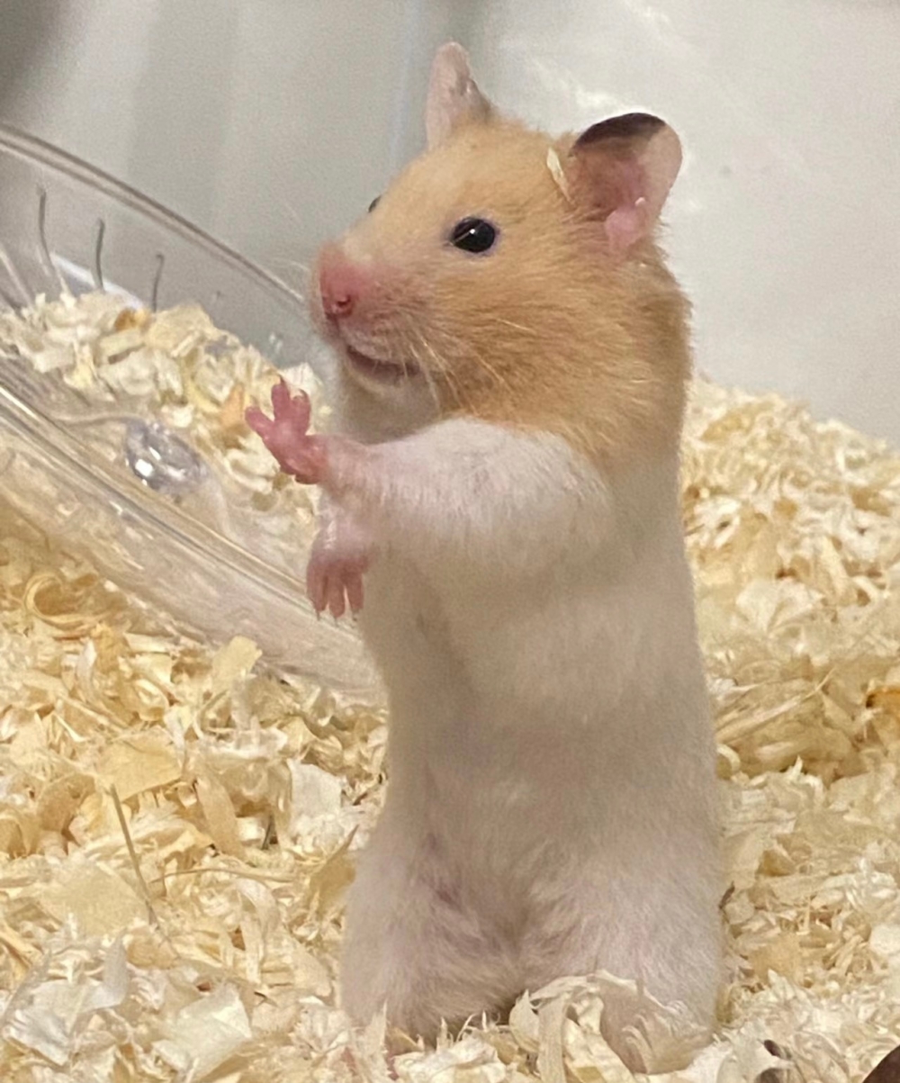 奴才：有點感動欸～