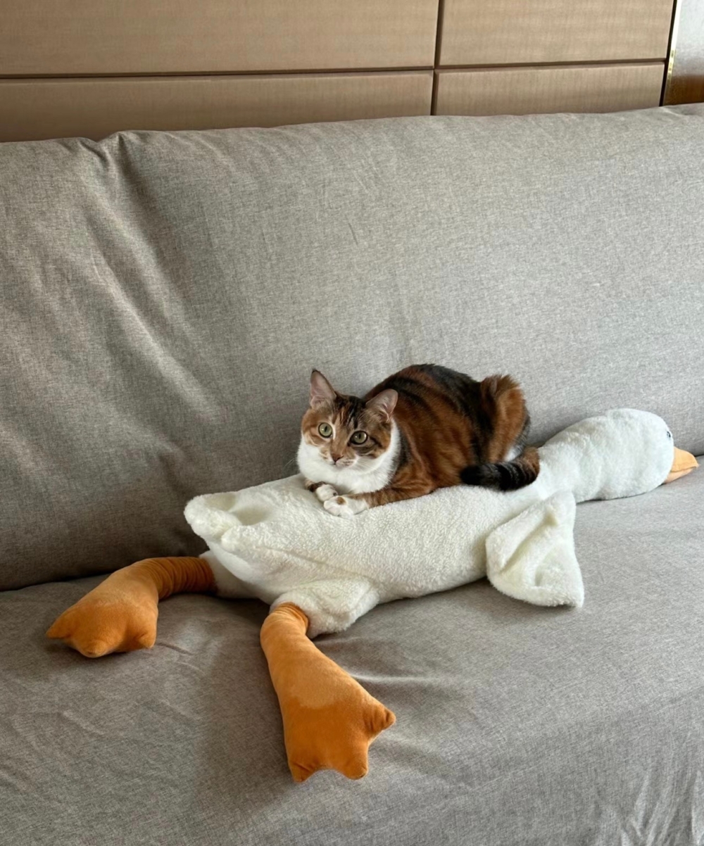 奴才：能讓我躺一躺嗎？