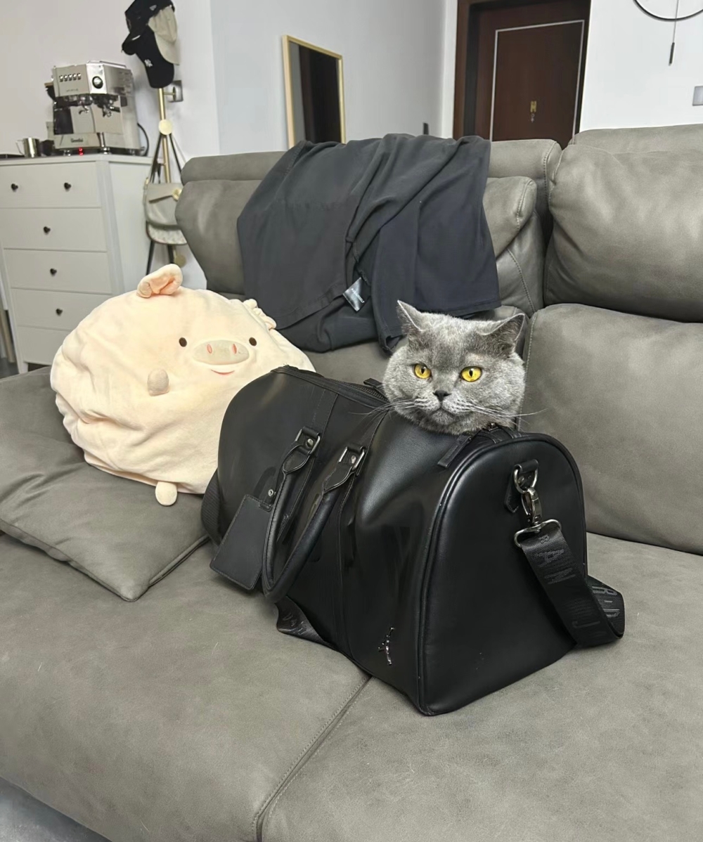 奴才：又在裝可愛了～