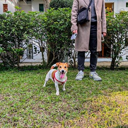 我們的家休閒農場 Our Home