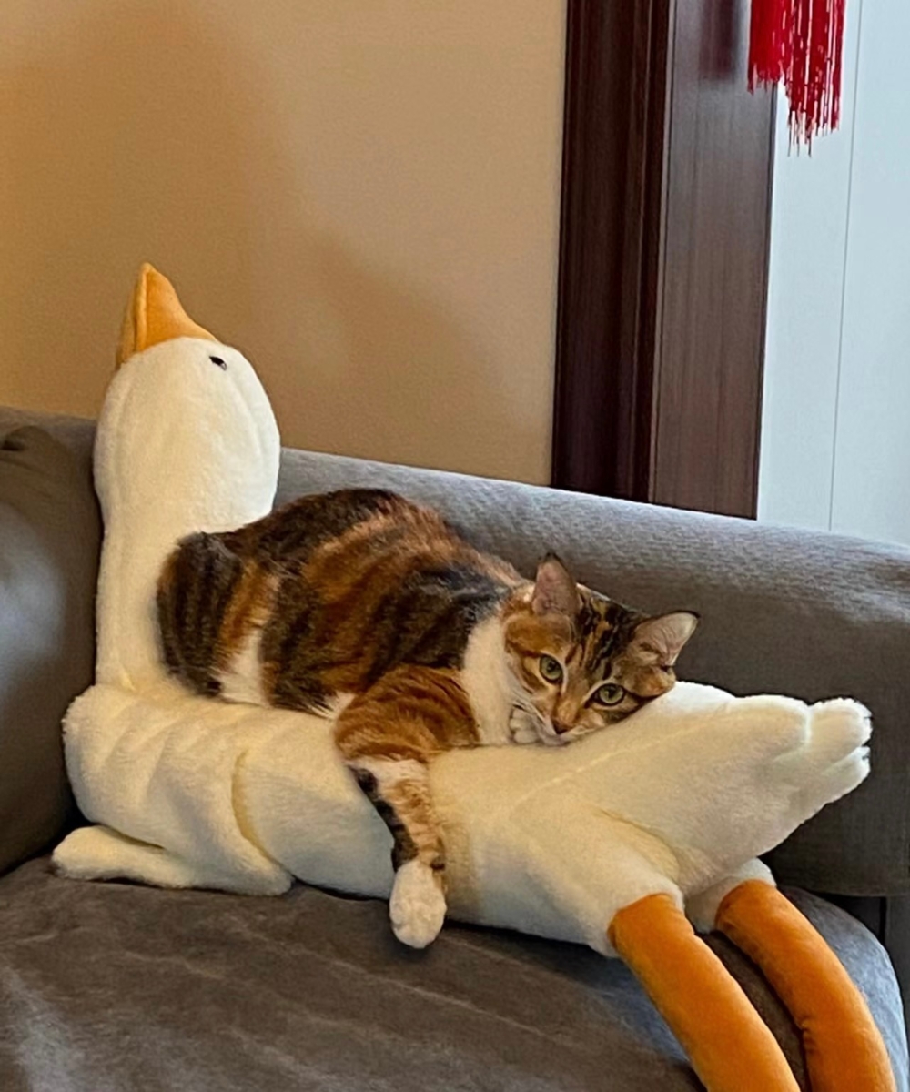 奴才：一起分享快樂啊