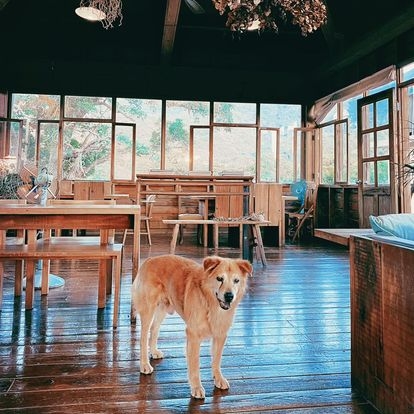 石牆仔內咖啡館