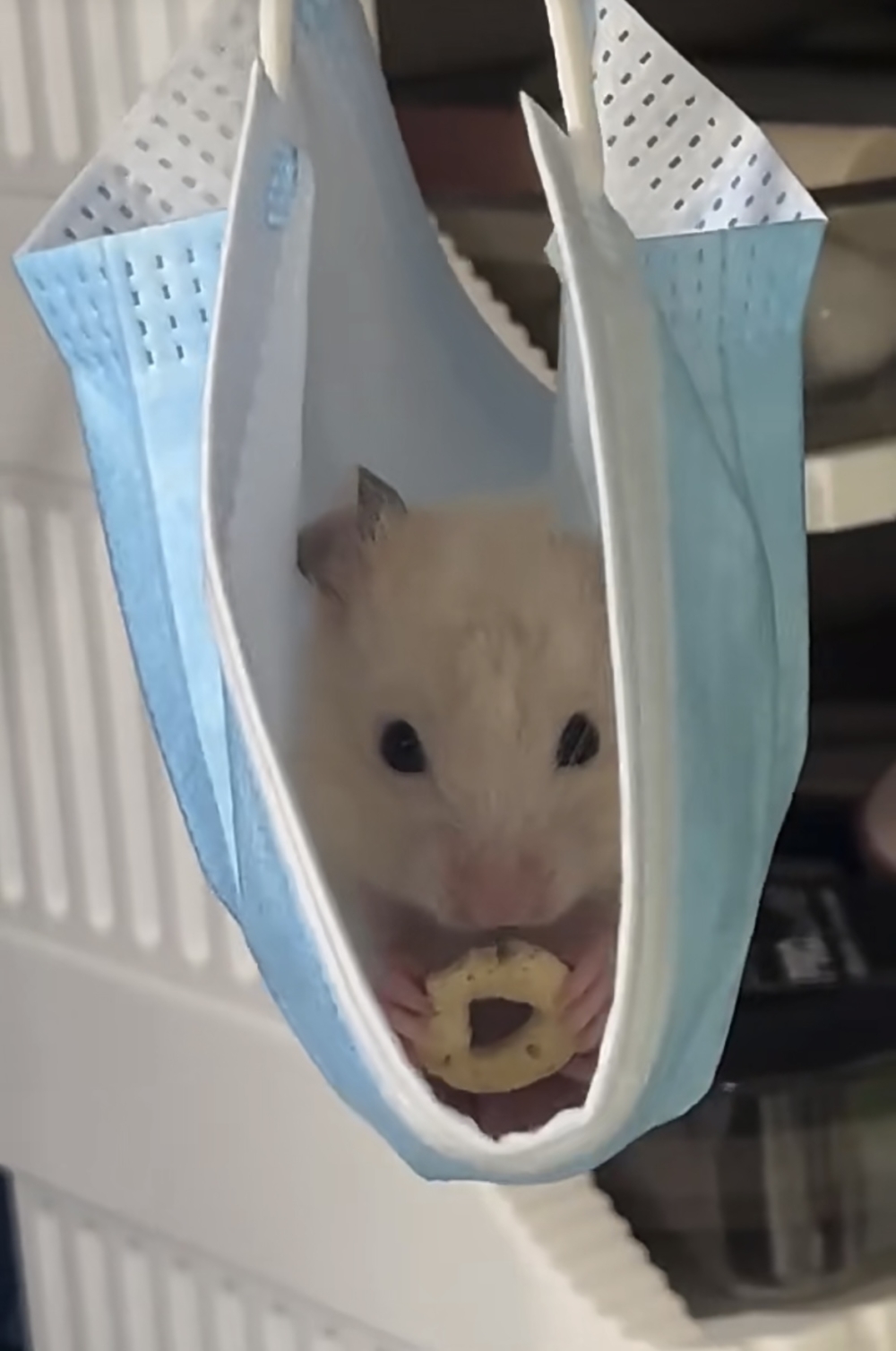 奴才：我們互相照應囉