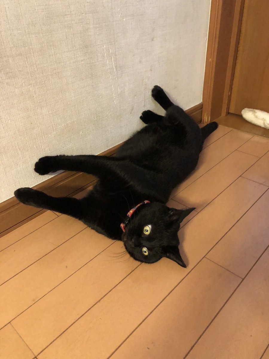 奴才:休想讓我幫你脫掉喔