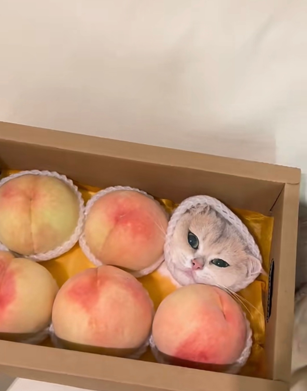 奴才：你別想偷吃喔