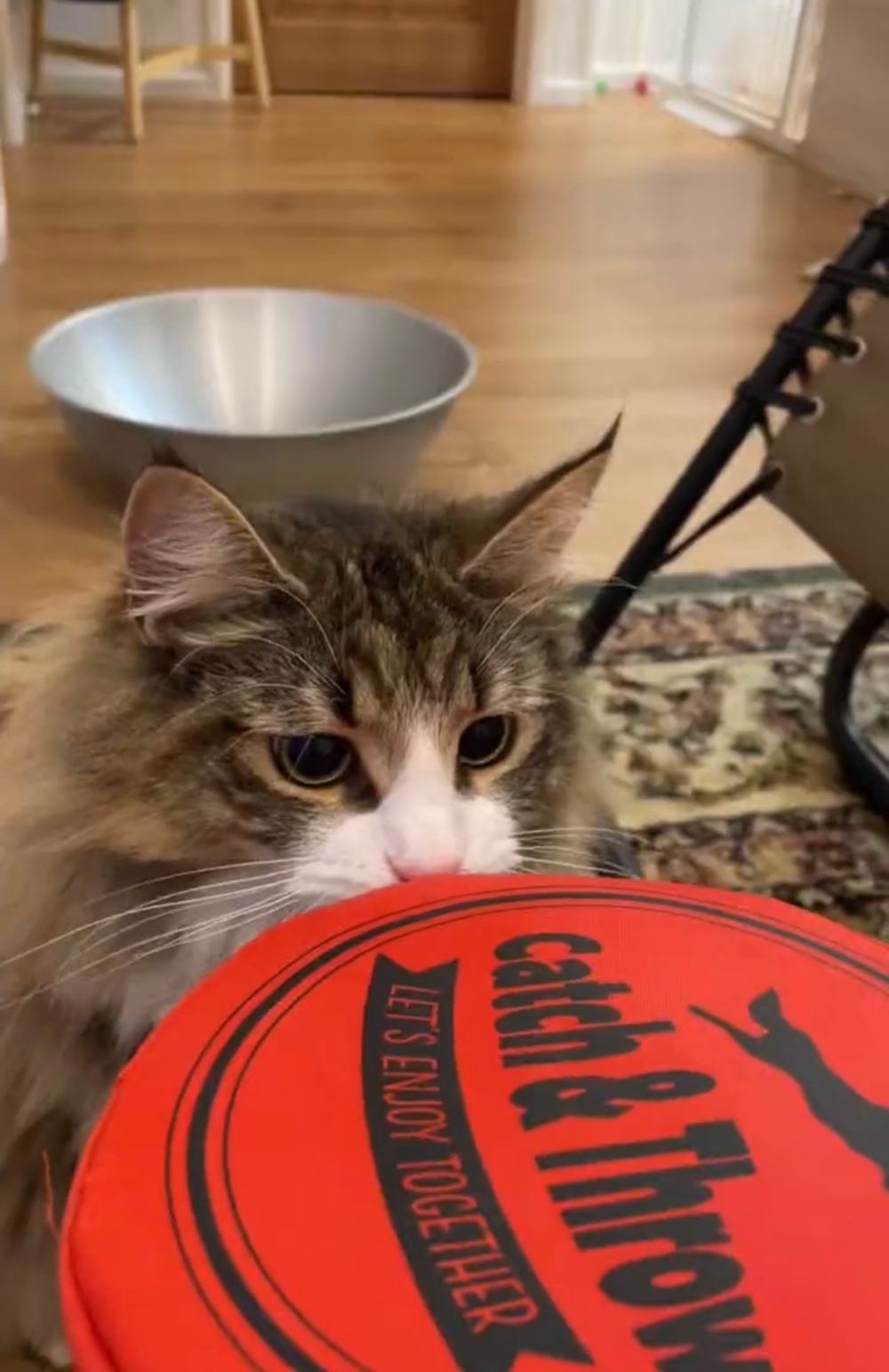 奴才：別那麼心急啦