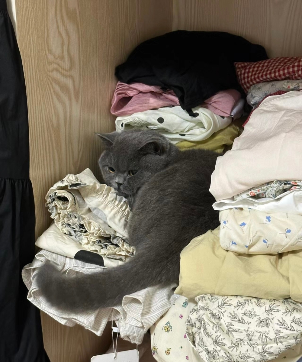 奴才：我也沒說錯啊～衣服上都是你的毛了啦