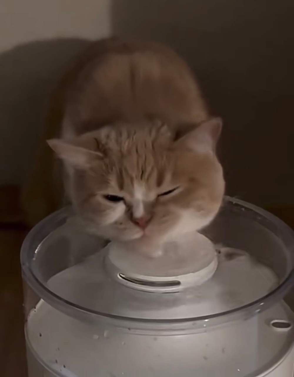 奴才：那你今天到底有沒有好好喝水喔