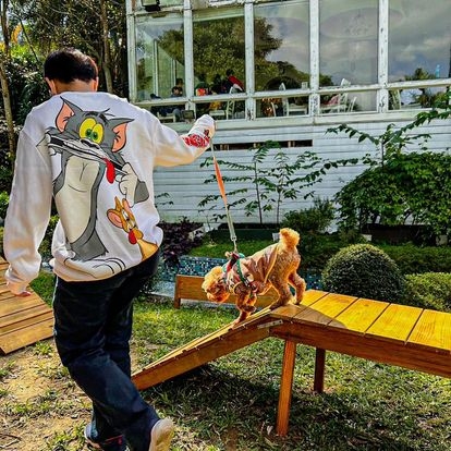 我們的家休閒農場 Our Home