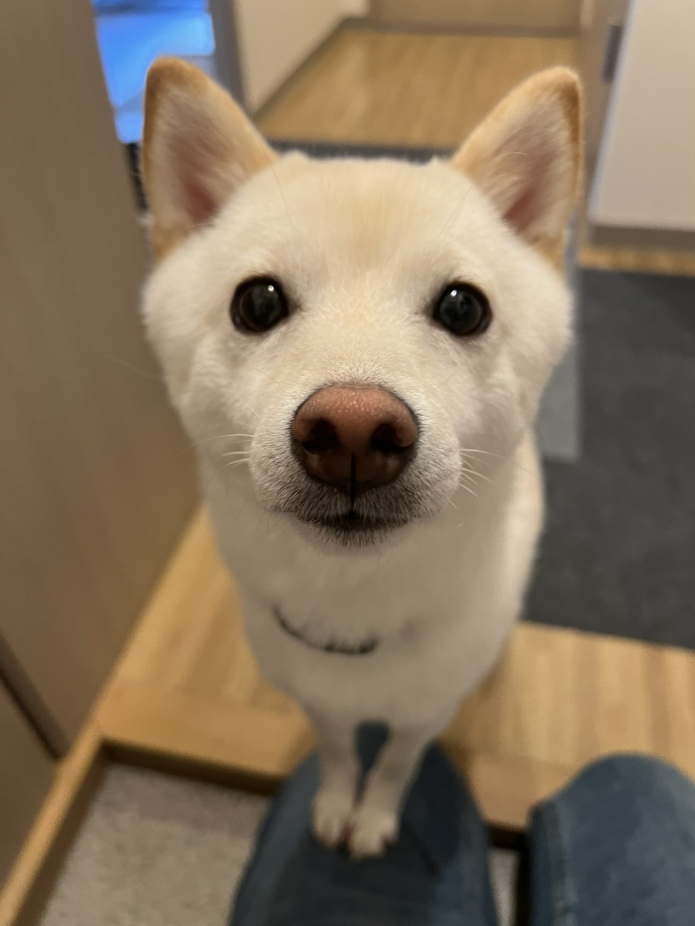 奴才：好感動啊～