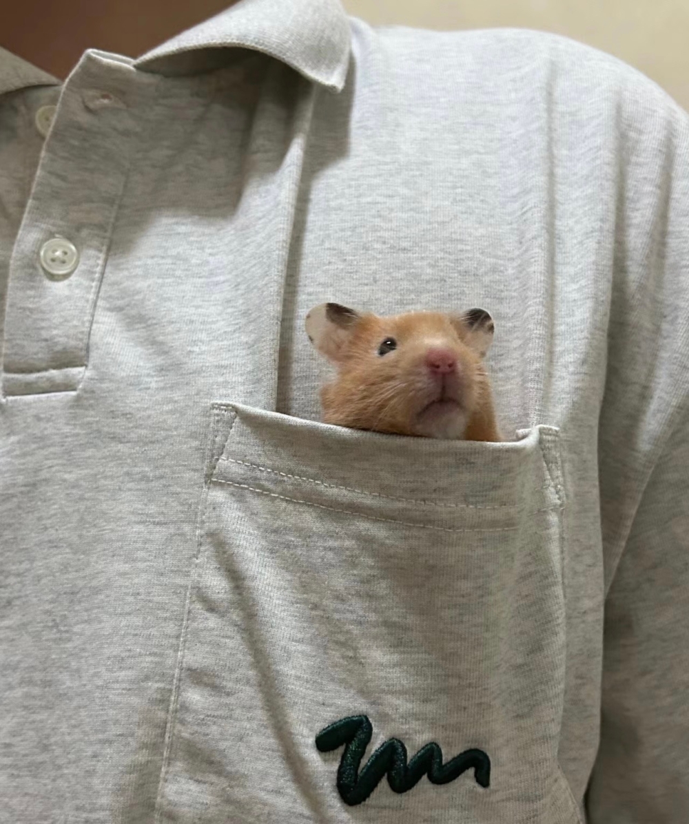 奴才：那以後就多讓你玩啊～