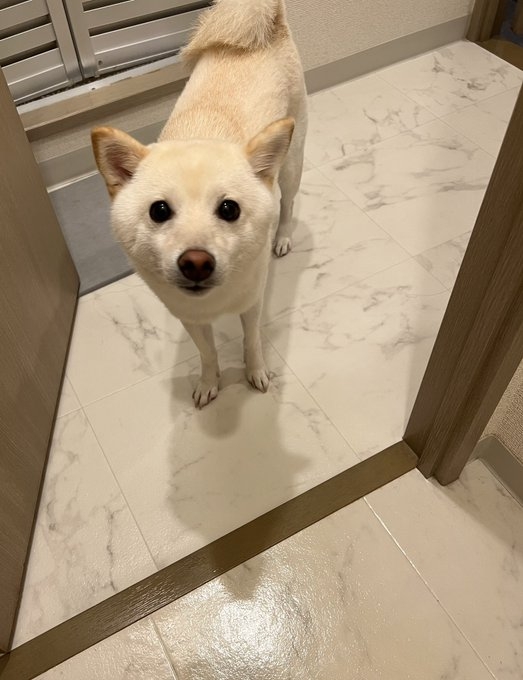 奴才：有你真好