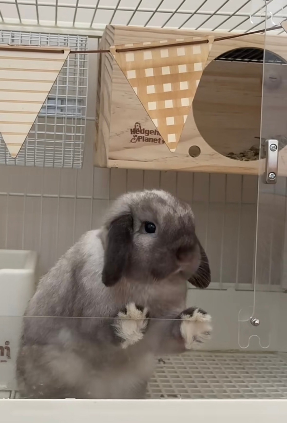 奴才：沒關係，你慢慢適應一下好了