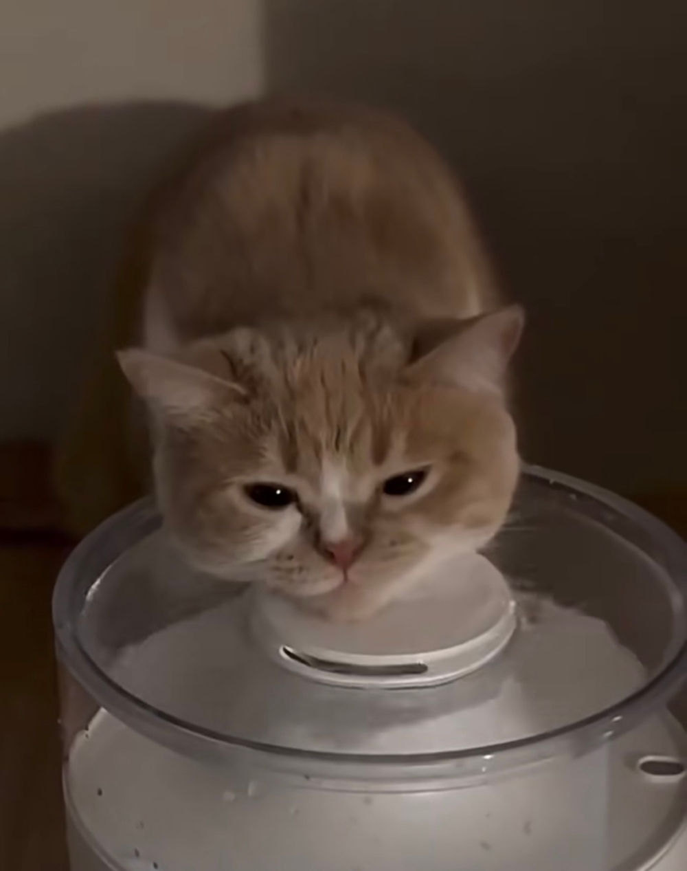 奴才：真是佩服你啊