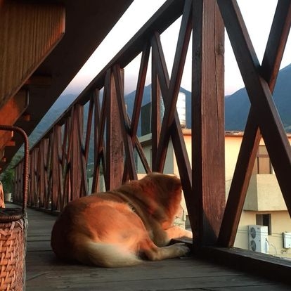 石牆仔內咖啡館