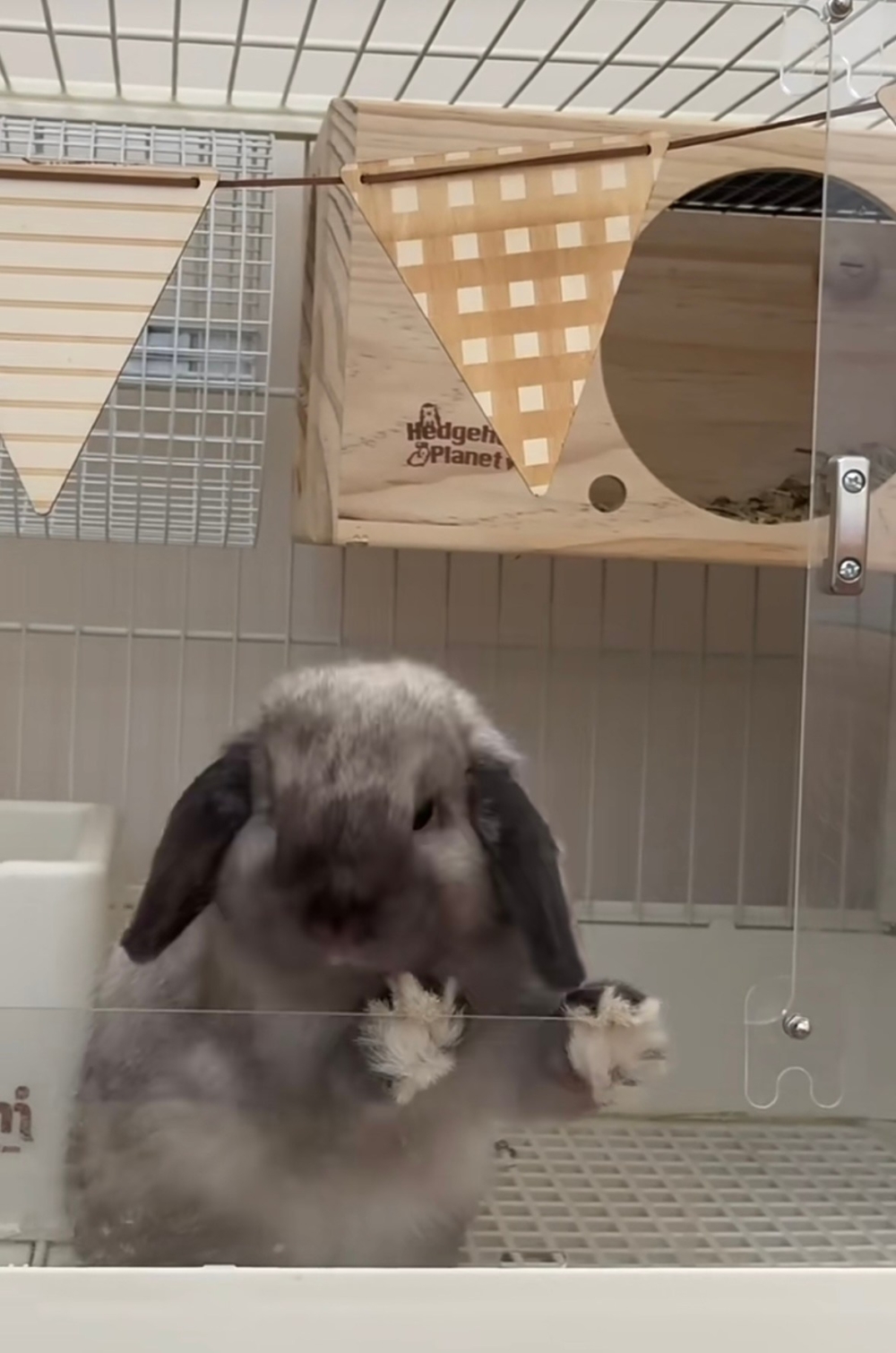 奴才：不用害怕喔～