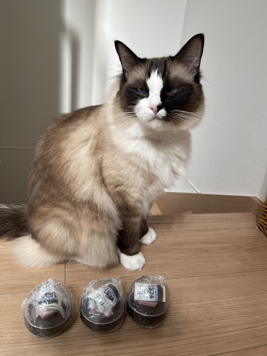 奴才：還別說，真的完美復刻囉