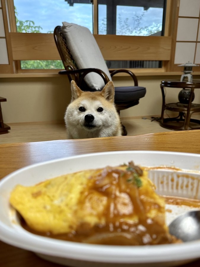 奴才：真的沒有喔