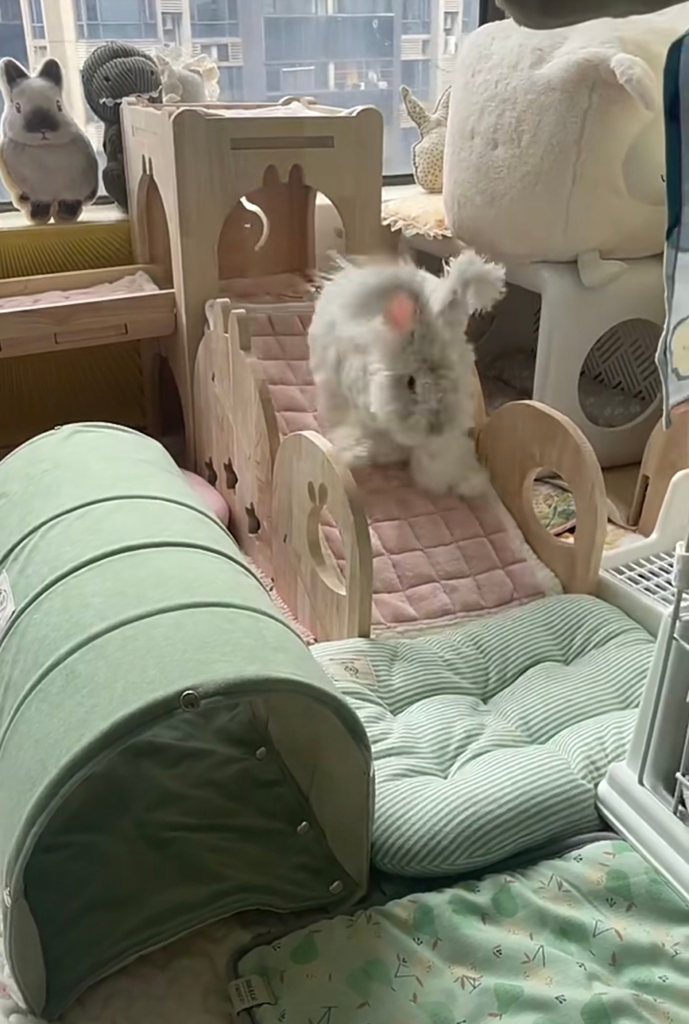 奴才：你好厲害，自己就會玩了