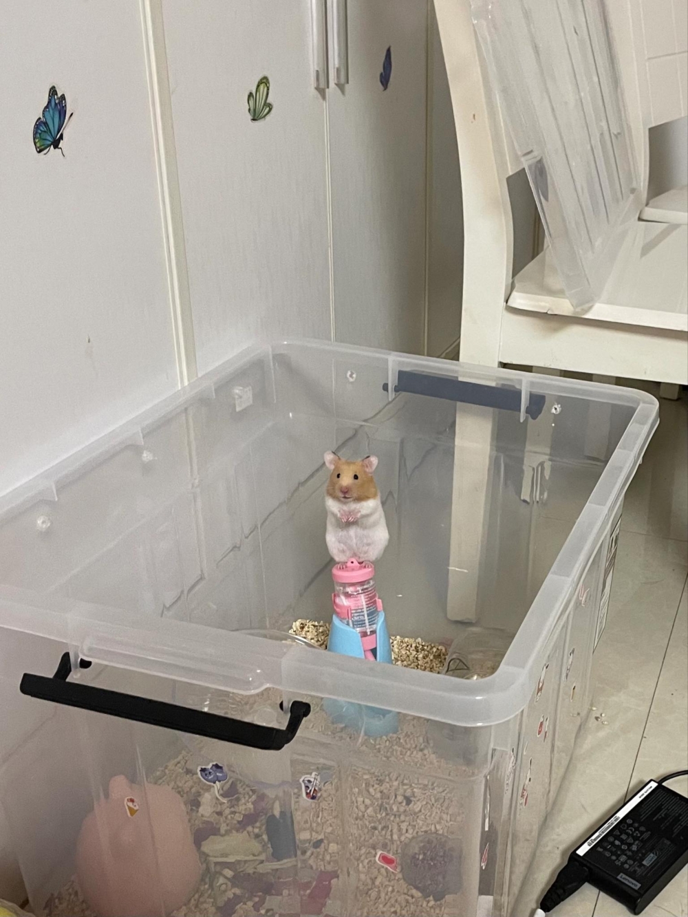 奴才：你別以為我不知道你的小心思喔