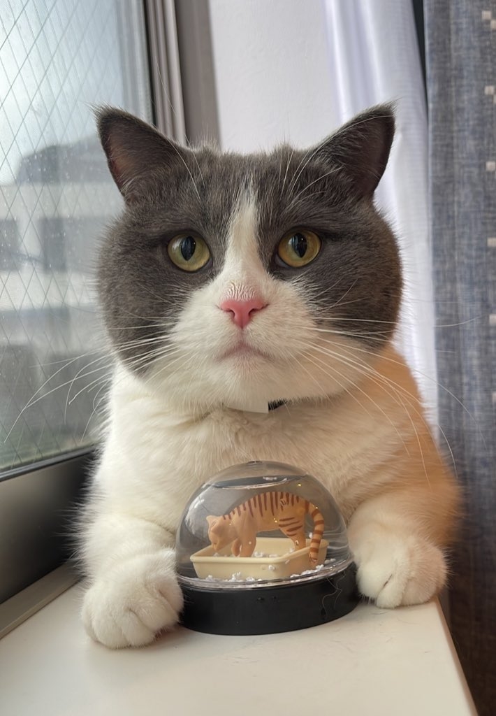 奴才：所以你就搞了這一齣嗎？