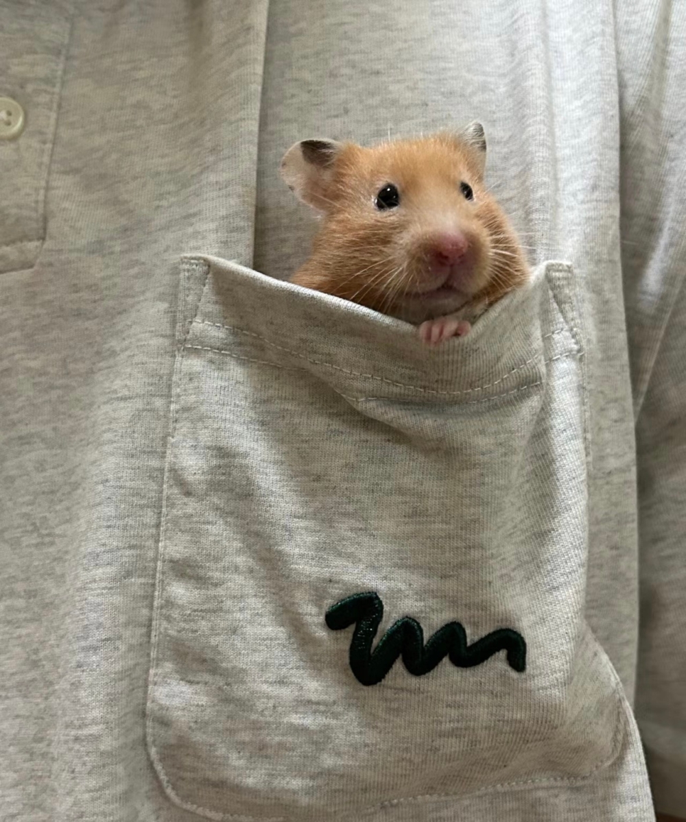 奴才：看來你沒有恐高喔