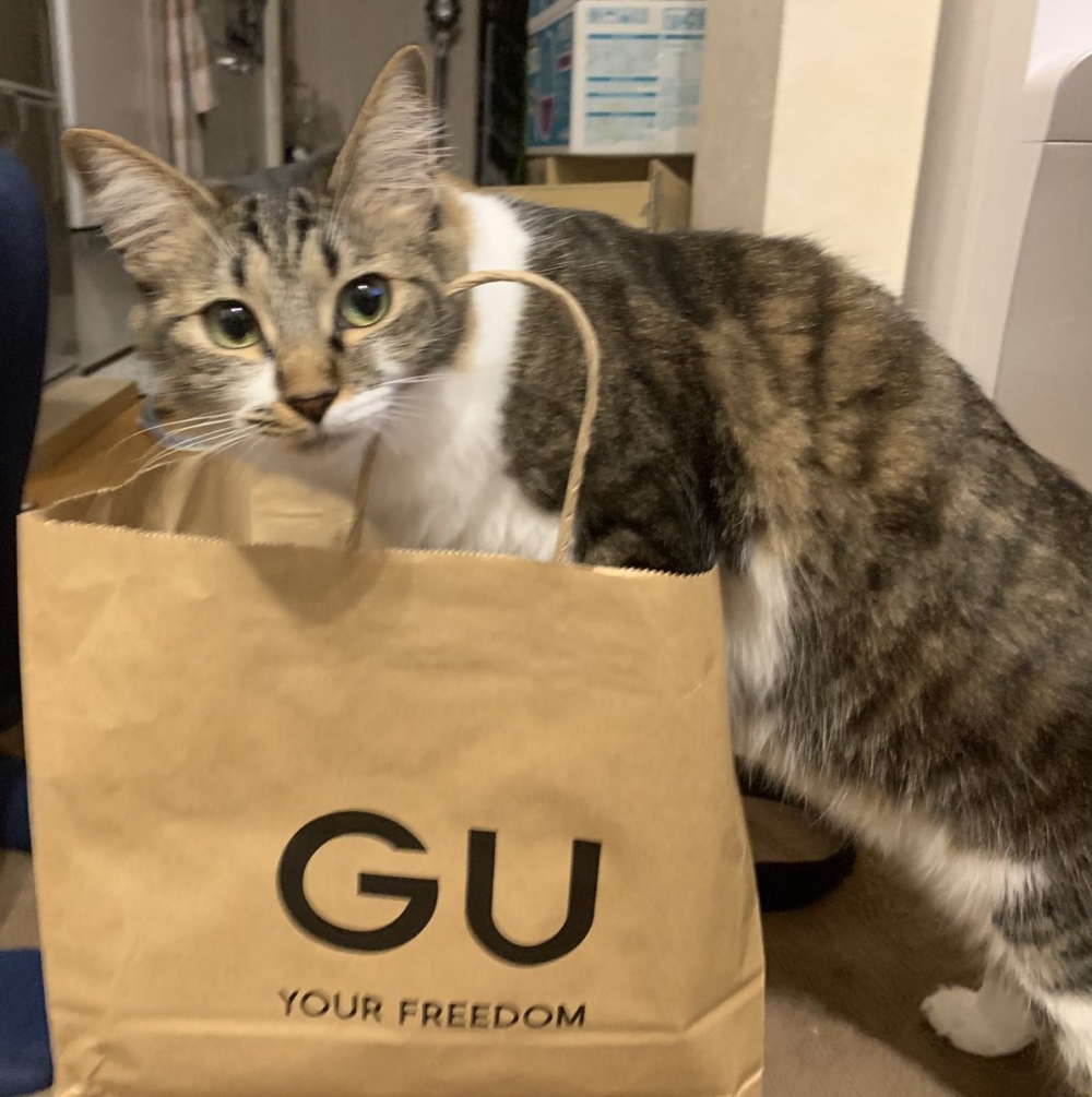 奴才：拭目以待啦