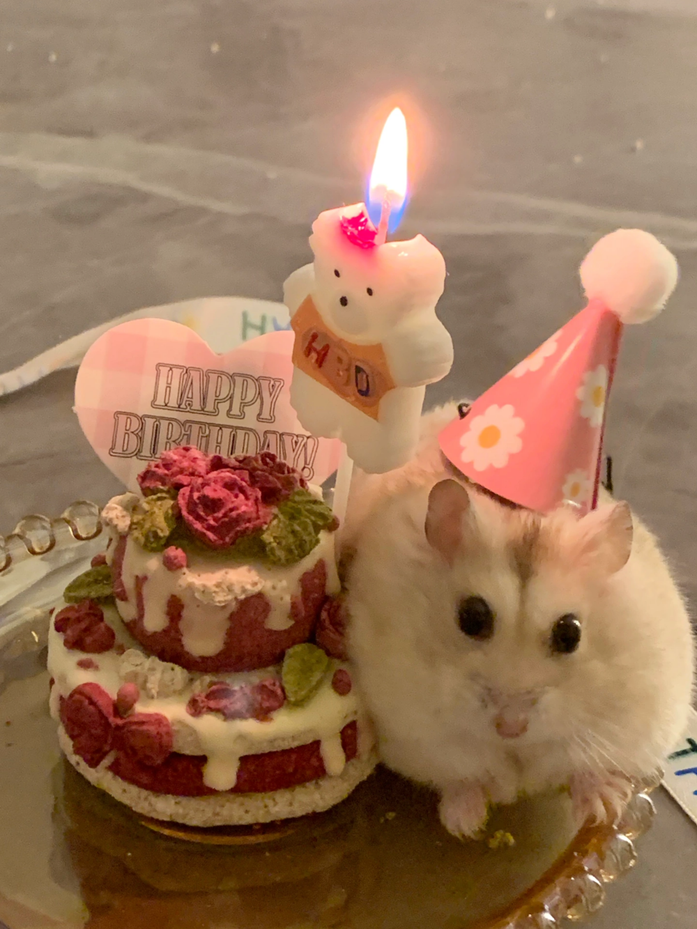 奴才：祝你新的一歲健康快樂喔