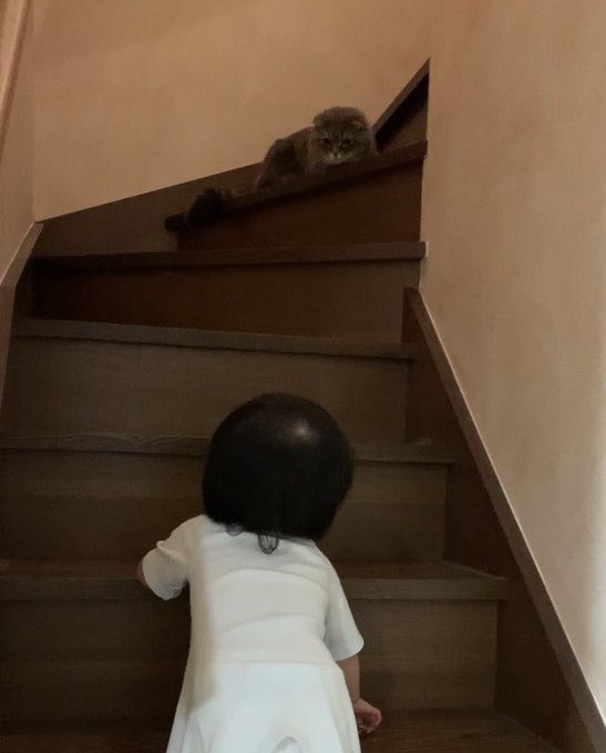 奴才：真的那麼厲害嗎？