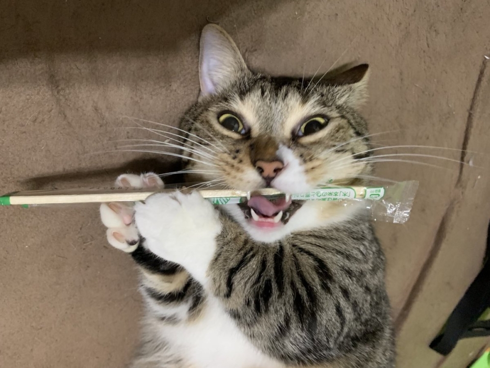 奴才：那我就洗耳恭聽囉