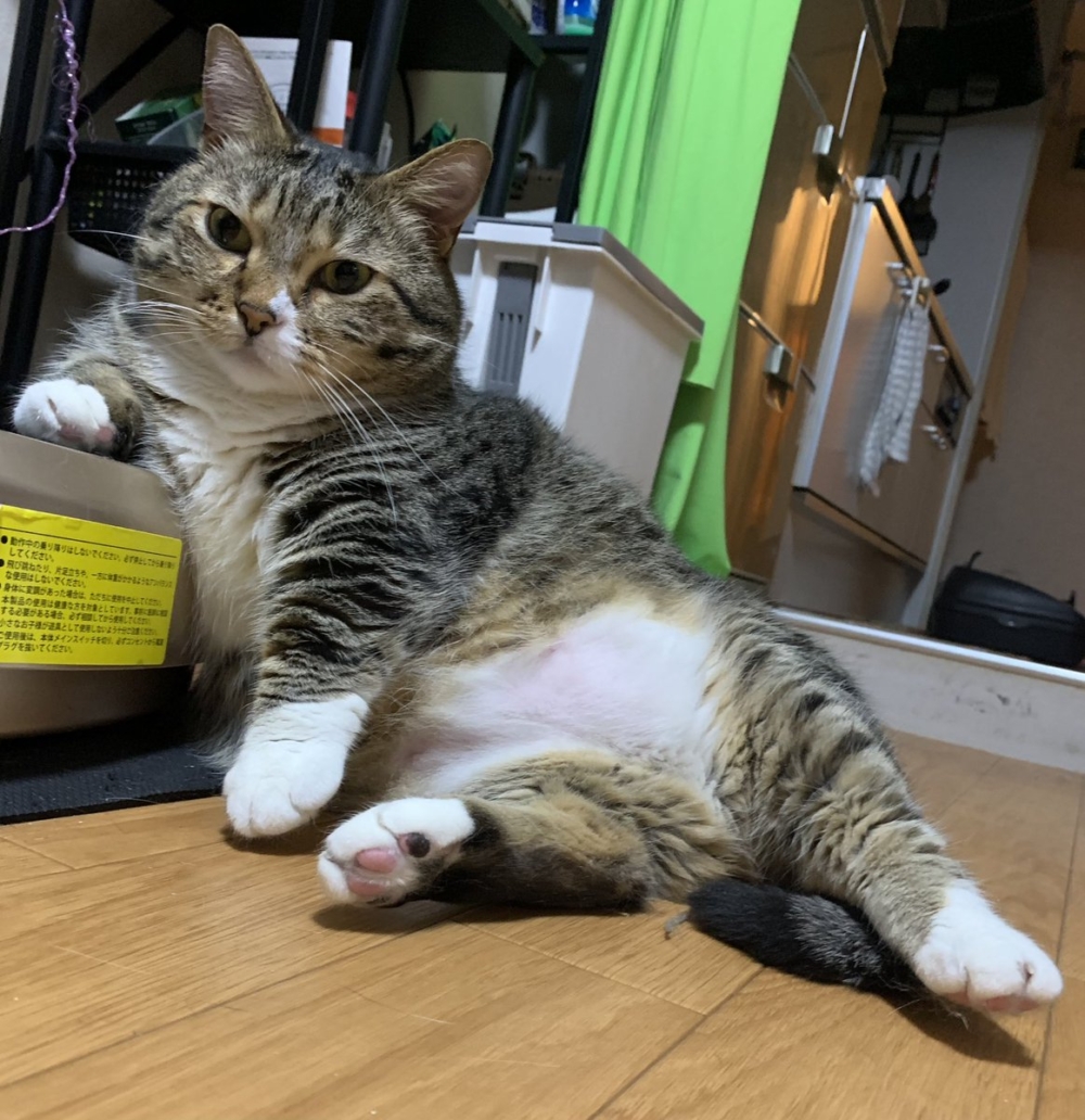 奴才：對喔～可以開始了